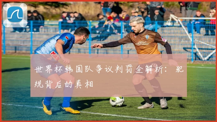 世界杯韩国队争议判罚全解析:犯规背后的真相