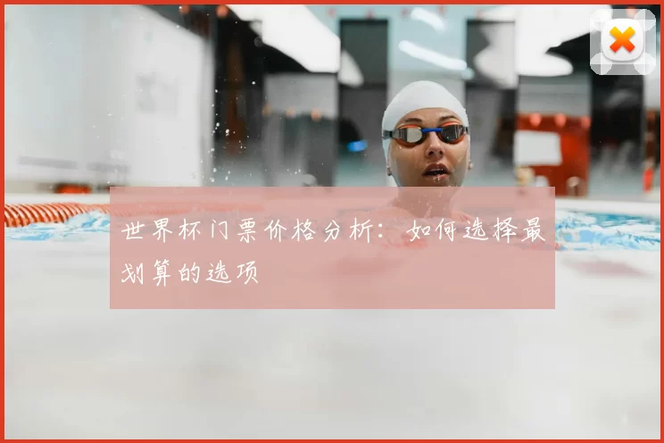 世界杯门票价格分析：如何选择最划算的选项