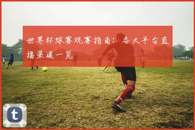 世界杯球赛观赛指南：各大平台直播渠道一览