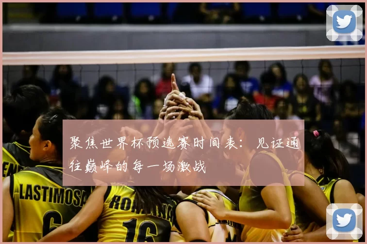 聚焦世界杯预选赛时间表：见证通往巅峰的每一场激战