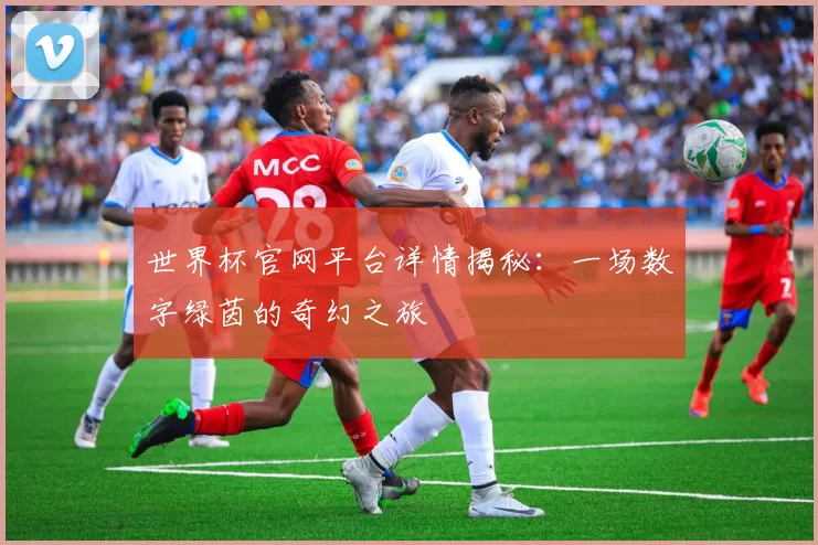 世界杯官网平台详情揭秘:一场数字绿茵的奇幻之旅