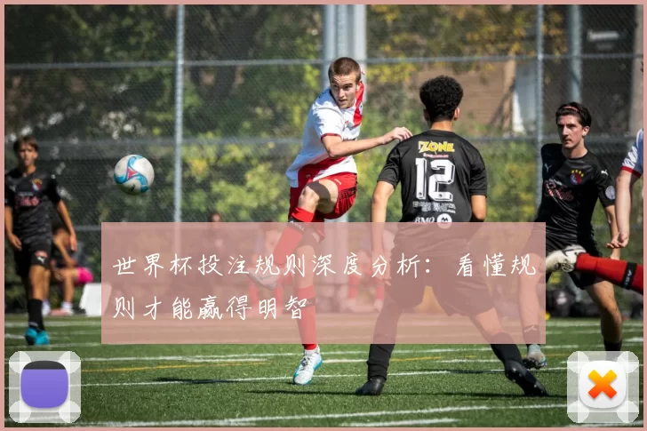 世界杯投注规则深度分析：看懂规则才能赢得明智