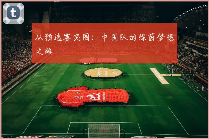 从预选赛突围：中国队的绿茵梦想之路
