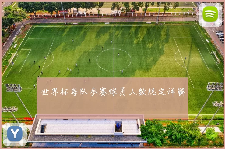 世界杯每队参赛球员人数规定详解