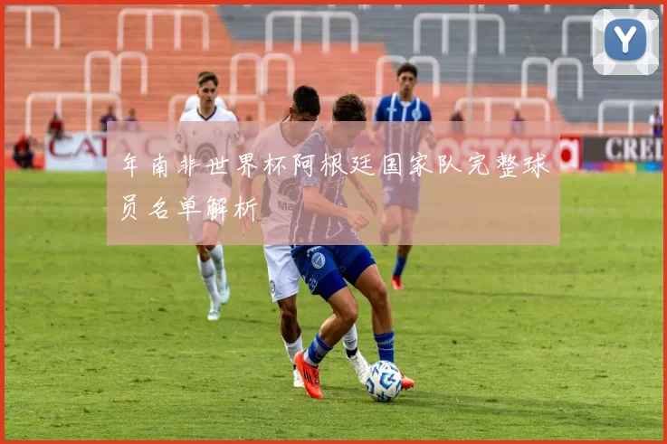 年南非世界杯阿根廷国家队完整球员名单解析