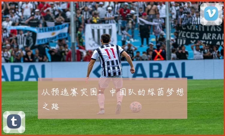 从预选赛突围：中国队的绿茵梦想之路