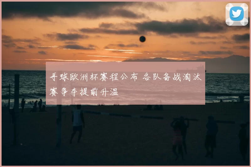 手球欧洲杯赛程公布 各队备战淘汰赛争夺提前升温