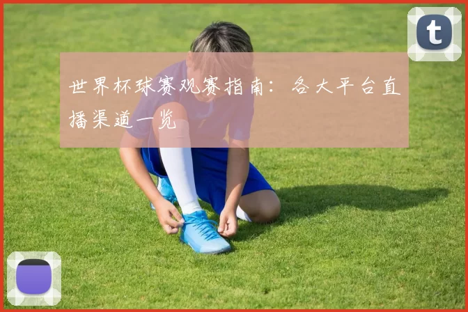 世界杯球赛观赛指南：各大平台直播渠道一览
