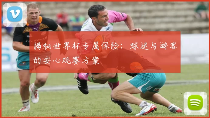 揭秘世界杯专属保险:球迷与游客的安心观赛方案