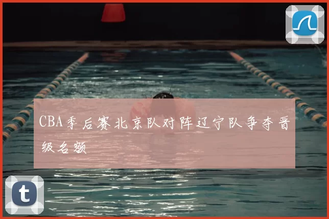 CBA季后赛北京队对阵辽宁队争夺晋级名额