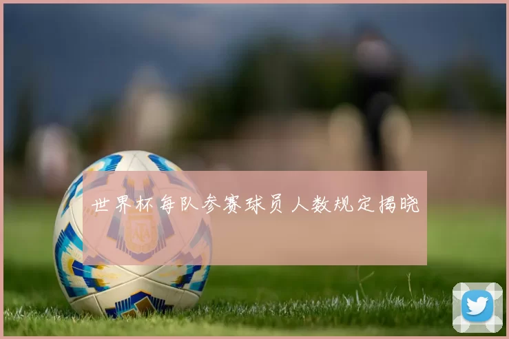 世界杯每队参赛球员人数规定揭晓