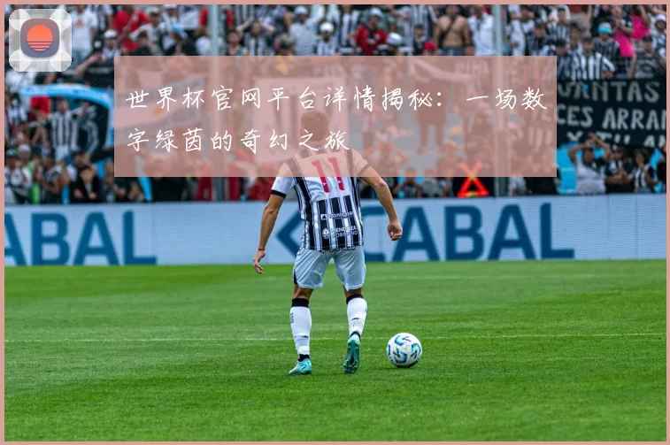 世界杯官网平台详情揭秘:一场数字绿茵的奇幻之旅