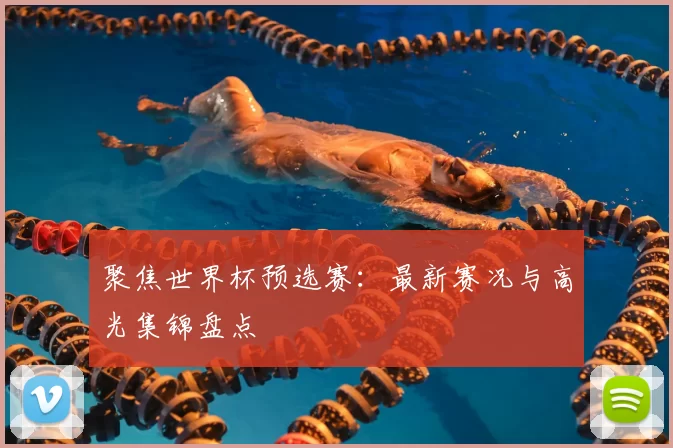 聚焦世界杯预选赛：最新赛况与高光集锦盘点